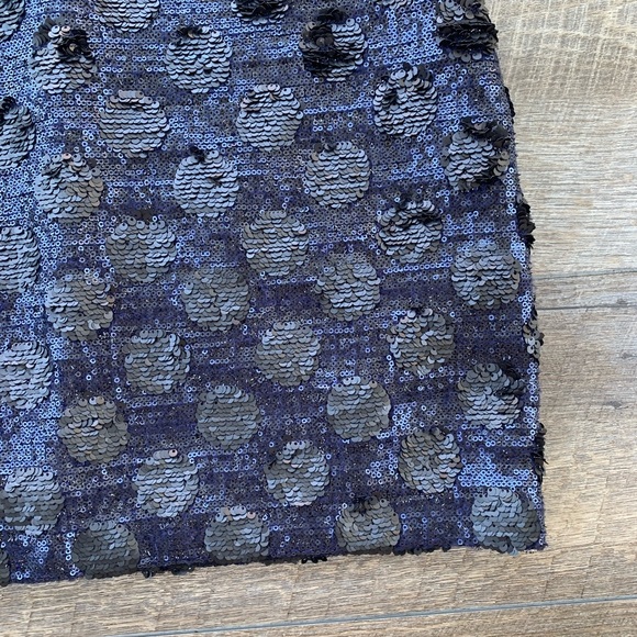 Anthropologie—Broadway & Broome—Sequin Skirt - Picture 3 of 8